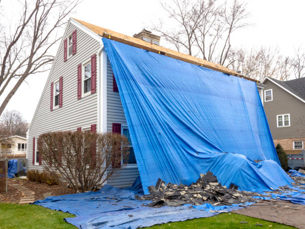 Best Fiber Cement Siding Installation  in Amity, OR